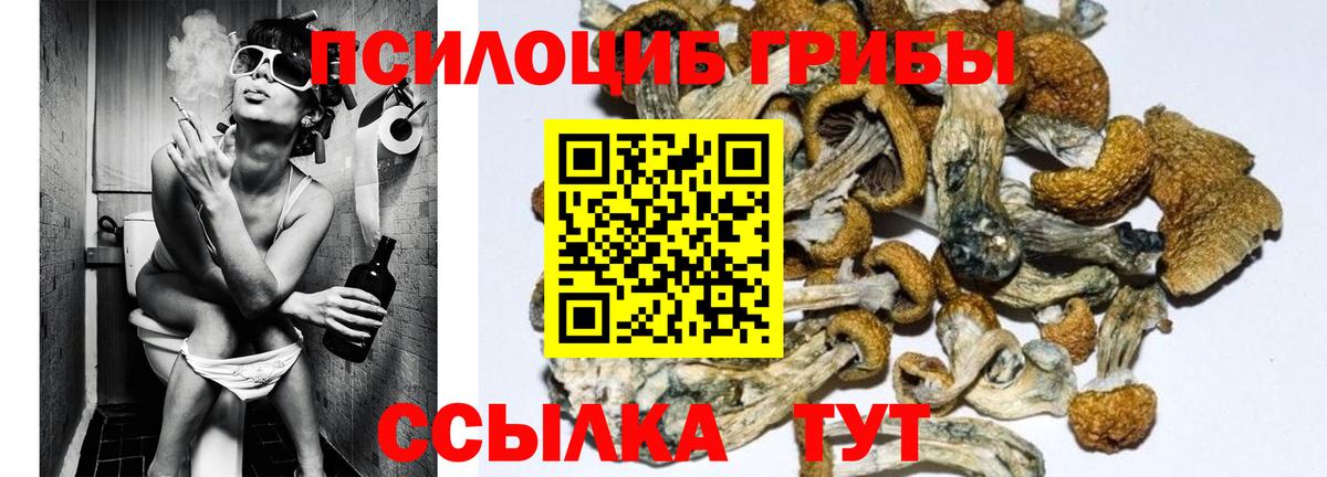 Галлюциногенные грибы мухоморы Кулебаки