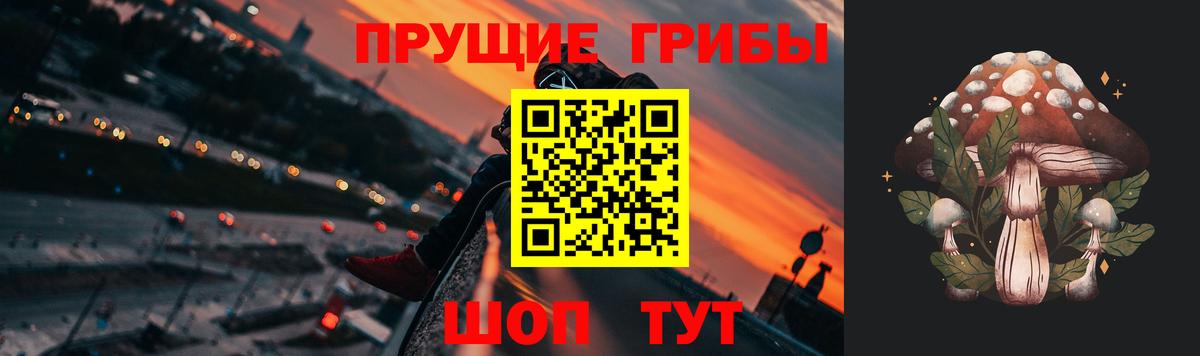 Галлюциногенные грибы прущие грибы  Вход с VPN  Кулебаки 