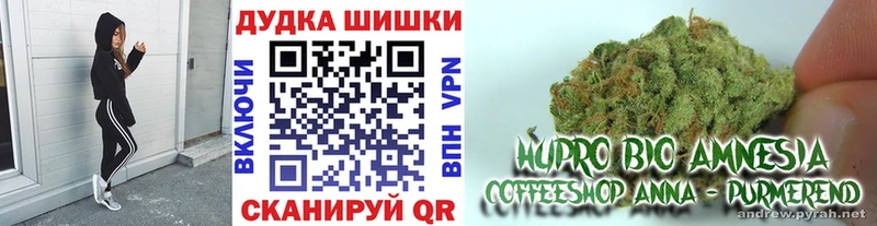 Канабис семена  кракен вход  Кулебаки 